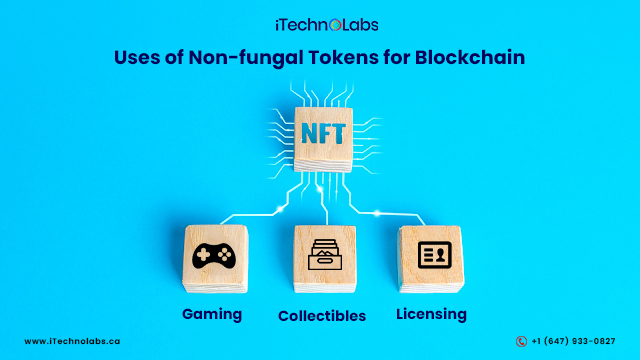 uses of non-fungal tokens for blockchain itechnolabs