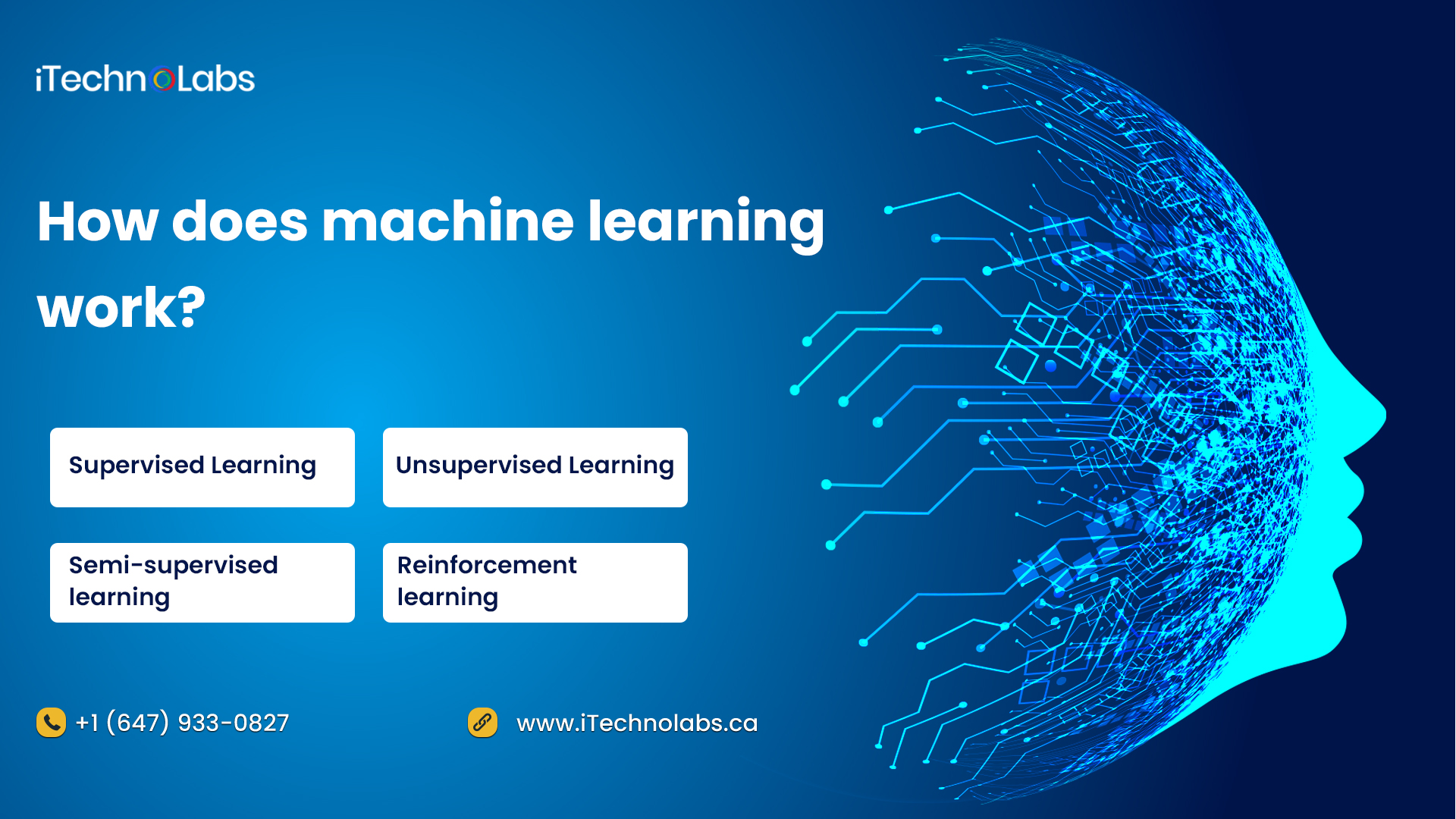 how does machine learning work itechnolabs