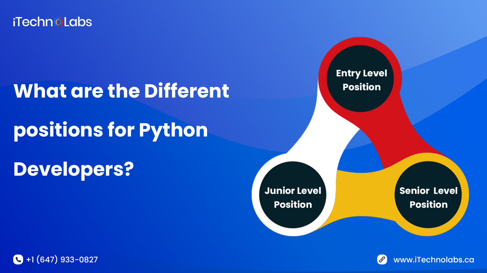 what are the different positions for python developers itechnolabs