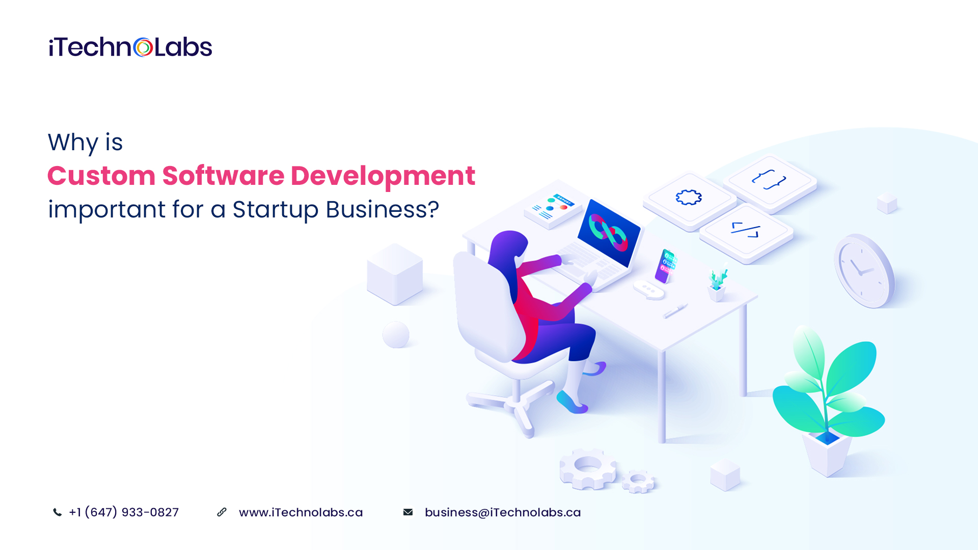 why is custom software development important for a startup business itechnolabs