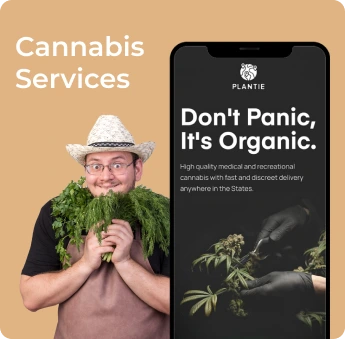 dubai cannabis service itechnolabs