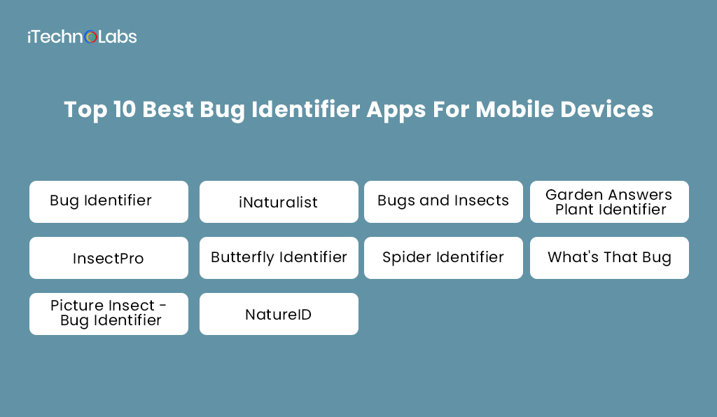 2. Top 10 Best Bug Identifier Apps For Mobile Devices