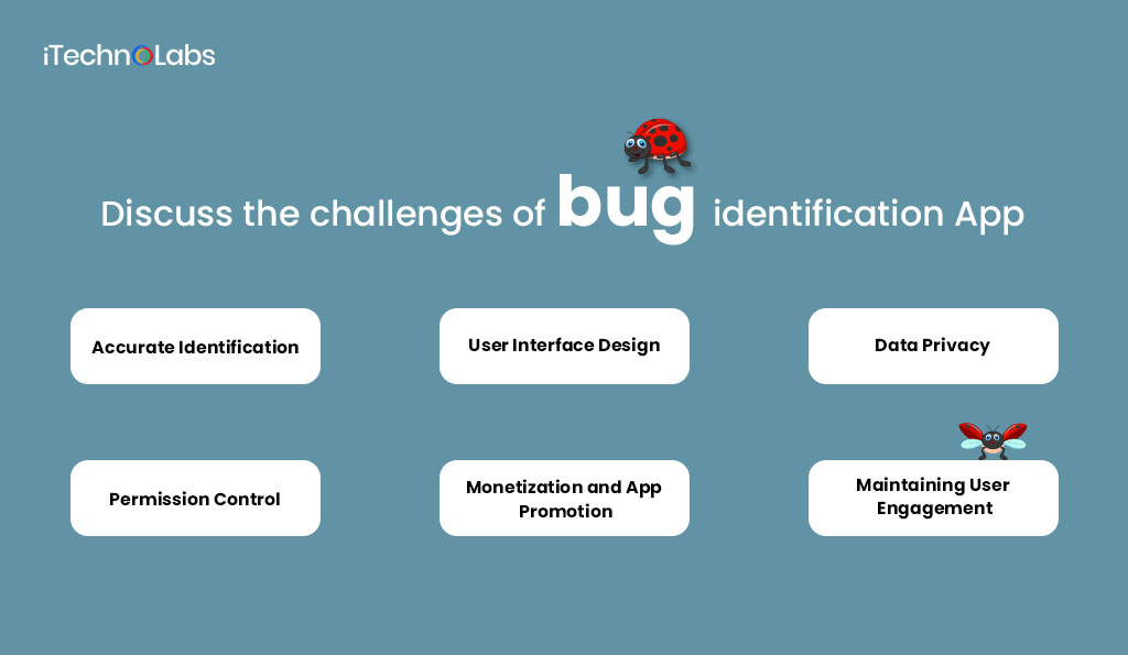 iTechnolabs-Discuss-the-challenges-of-bug-identification-App