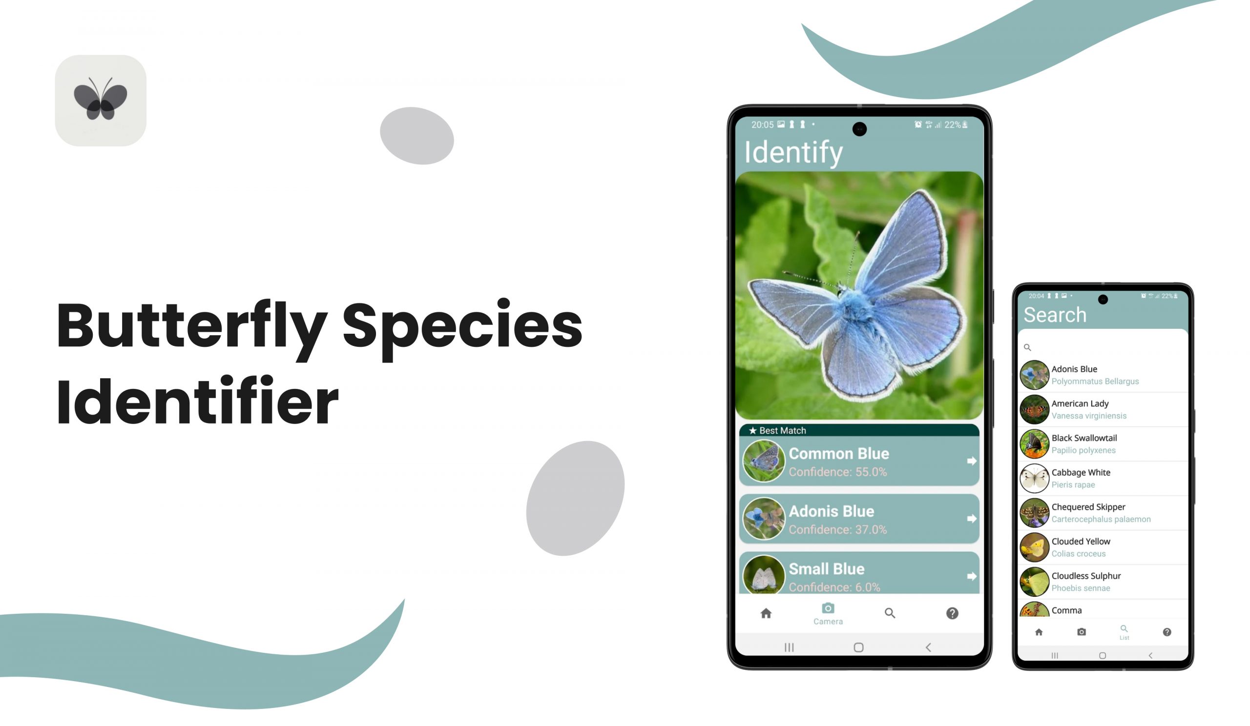 Butterfly Identifier