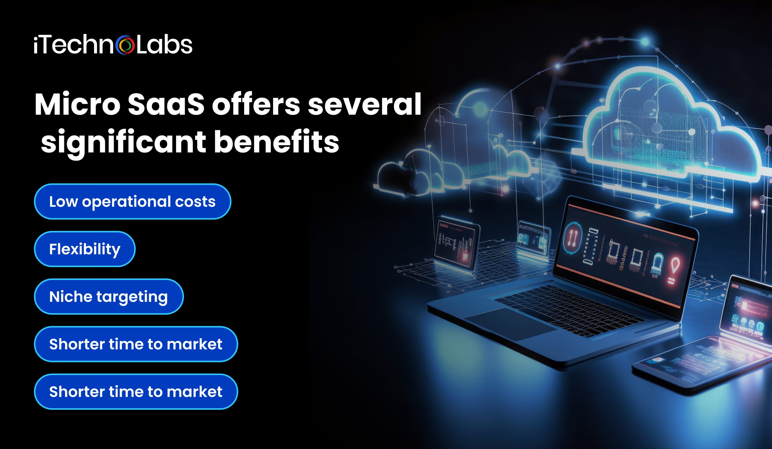 Micro SaaS offers several significant benefits
