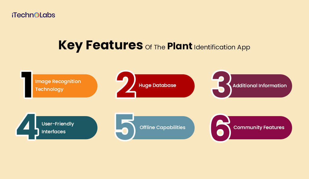 iTechnolabs-Key-Features-Of-The-Plant-Identification-App