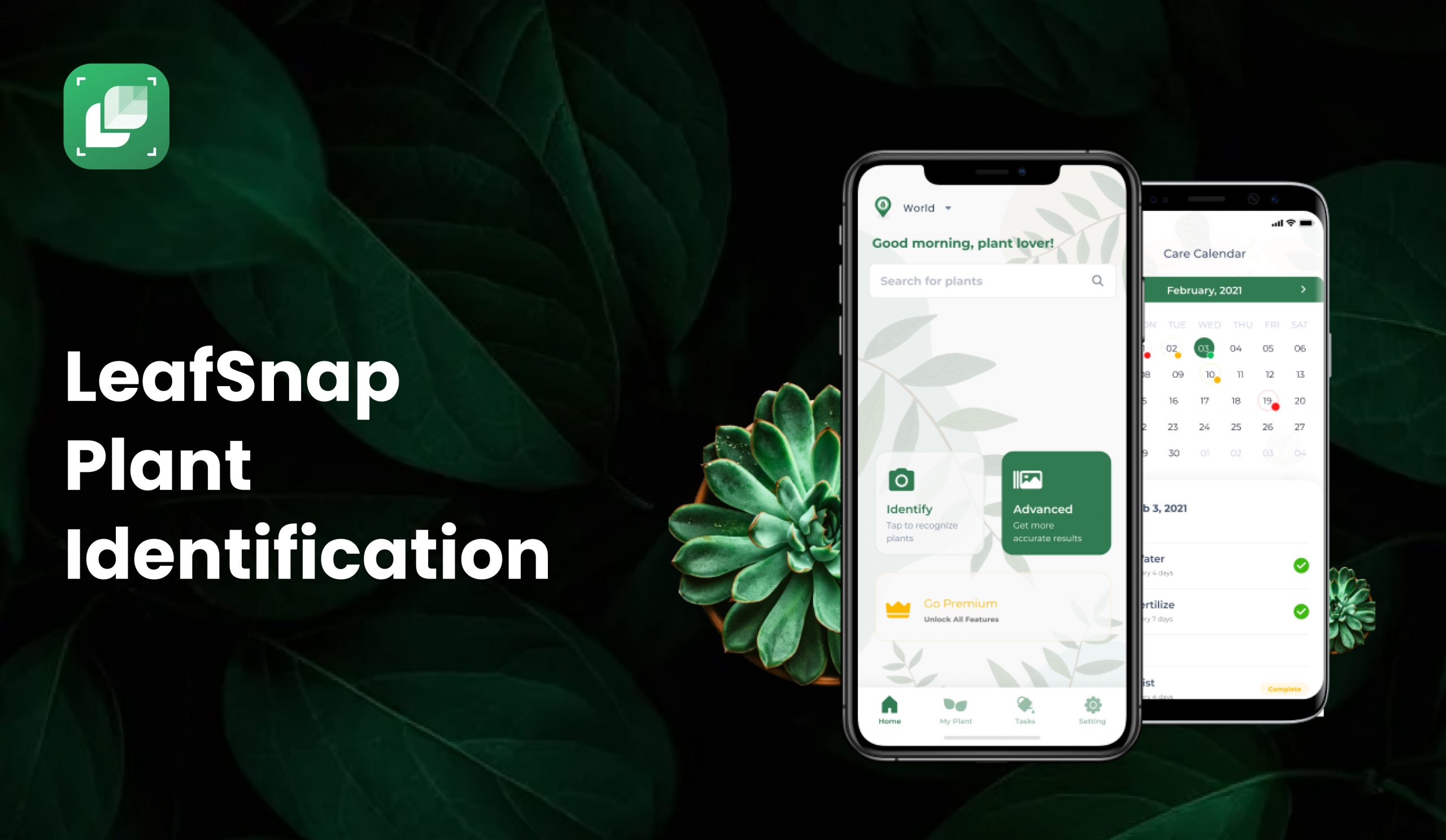 LeafSnap | Best Free Plant Identification App