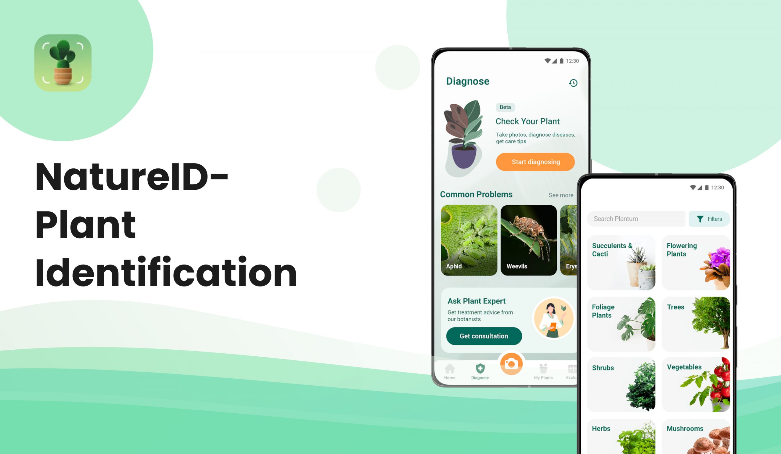 NatureID | Best Free Plant Identification App 2020
