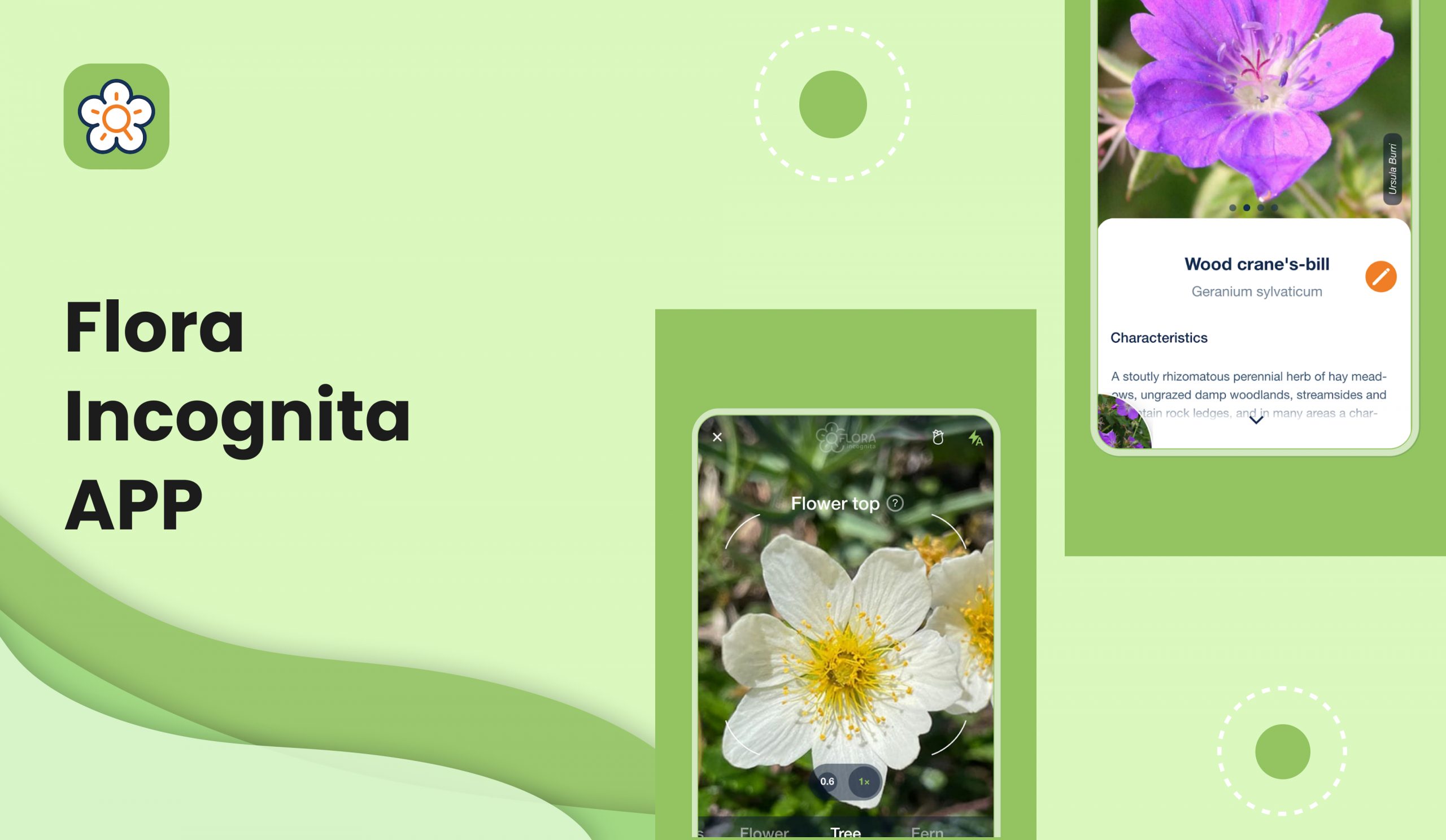 Flora Incognita | Best Free Plant Identification App 2021