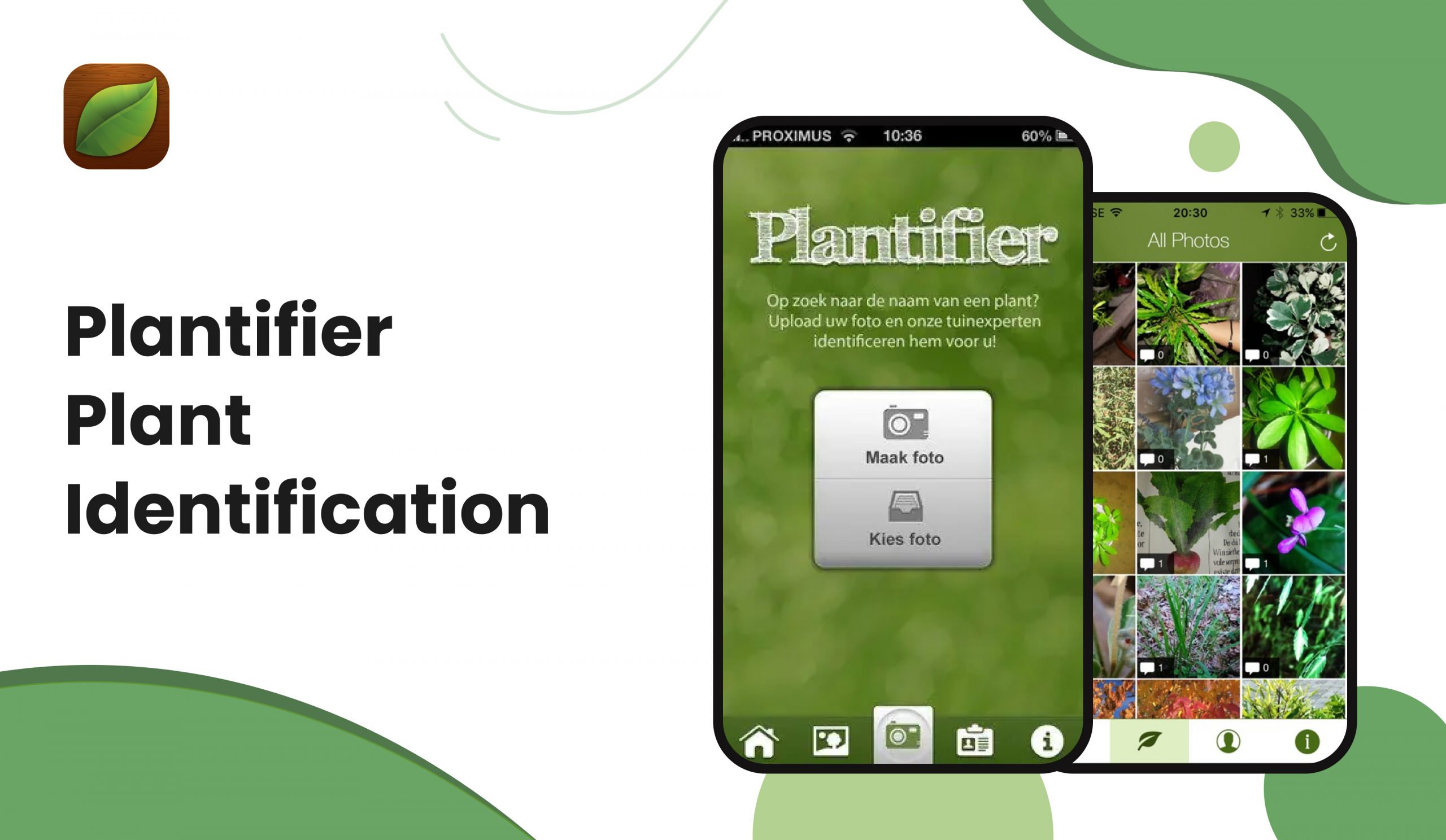 Plantifier | Best Free Plant Identification App