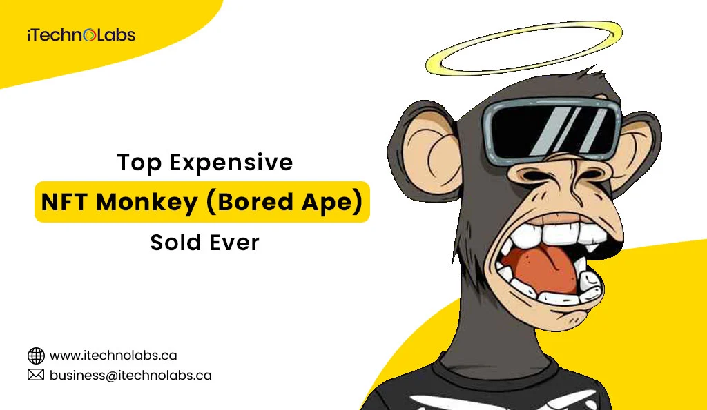 iTechnolabs-Top-10-Expensive-NFT-Monkey-(Bored-Ape)-Sold-Ever-[2024]